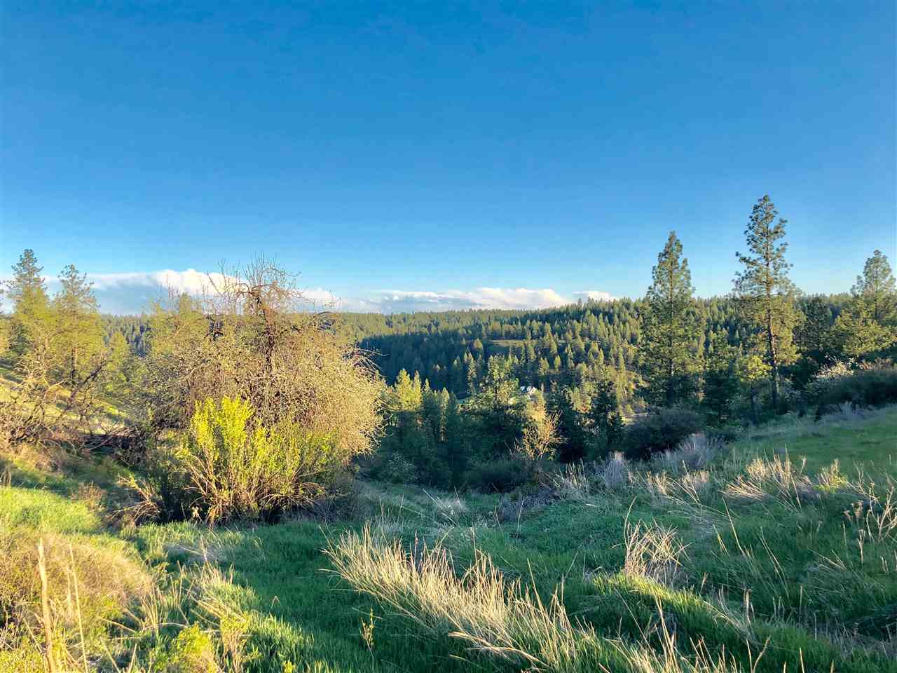 13403 West Euclid Road, Unit SOUTHERN PARCELS Spokane, WA 99224 - Photo 6 of 15