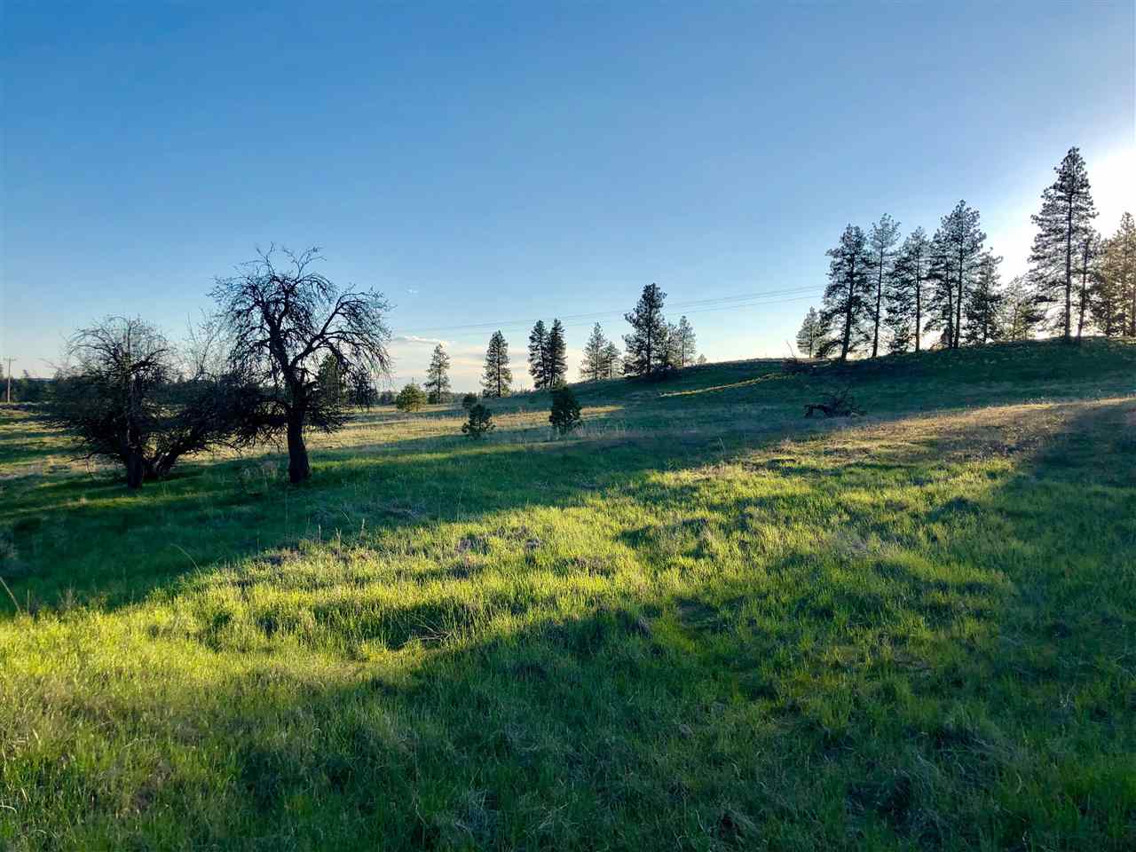 13403 West Euclid Road, Unit SOUTHERN PARCELS Spokane, WA 99224 - Photo 9 of 15