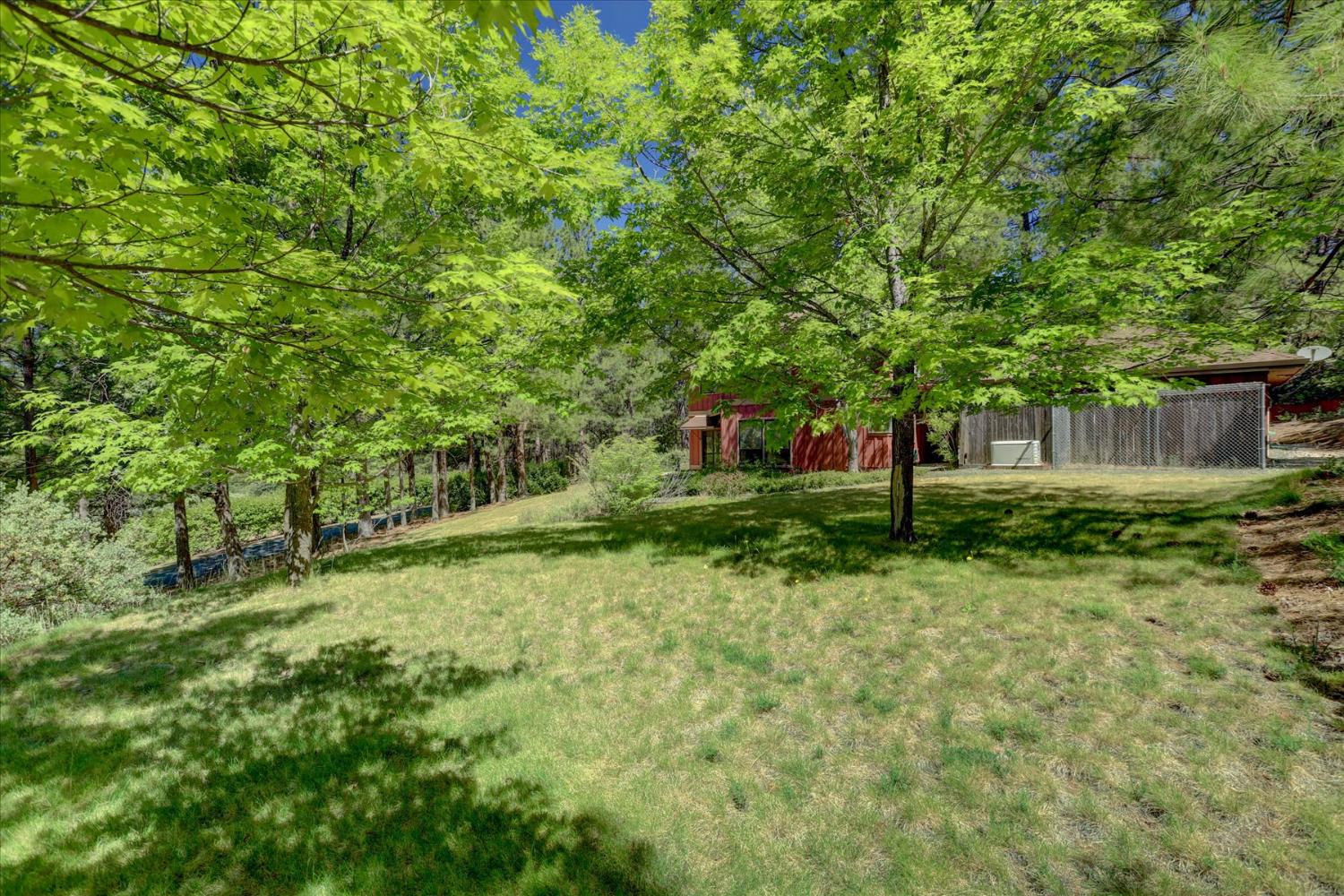 16934 Indian Flat Road Nevada City, CA 95959 - Photo 65 of 96