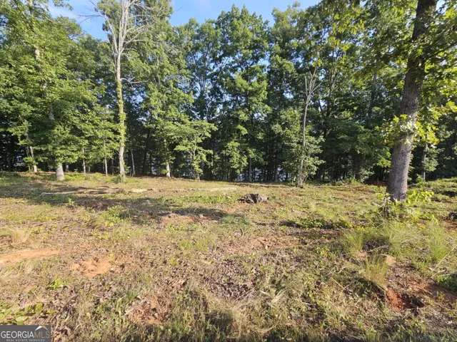 a view of outdoor space with trees