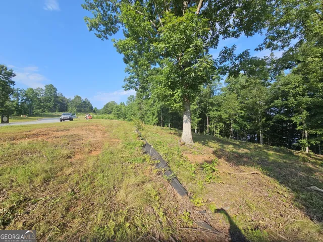 a view of outdoor space with deck and yard