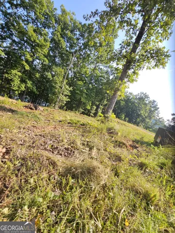 a view of a yard with a tree