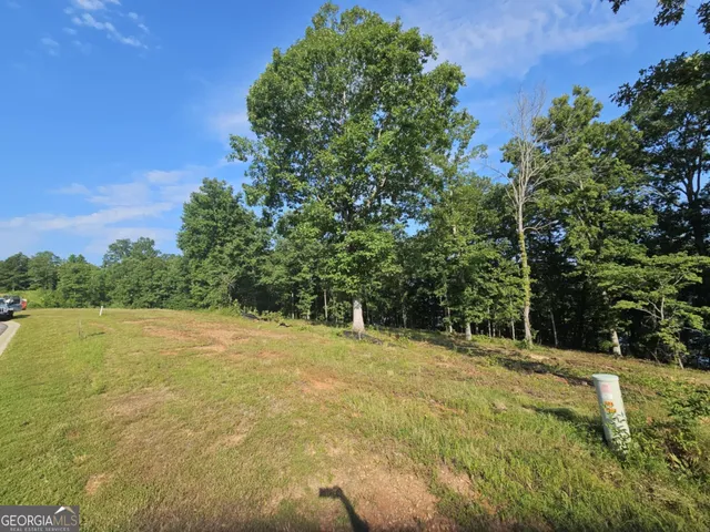 a view of outdoor space and yard
