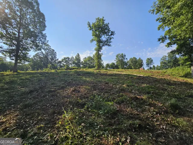 a view of a big yard