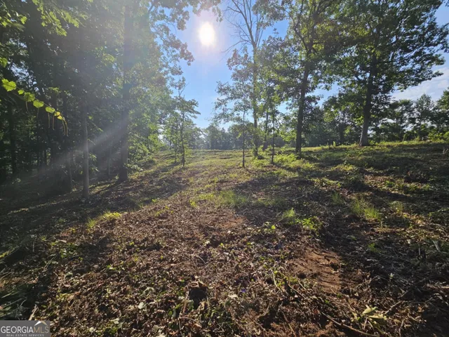 a view of outdoor space with trees