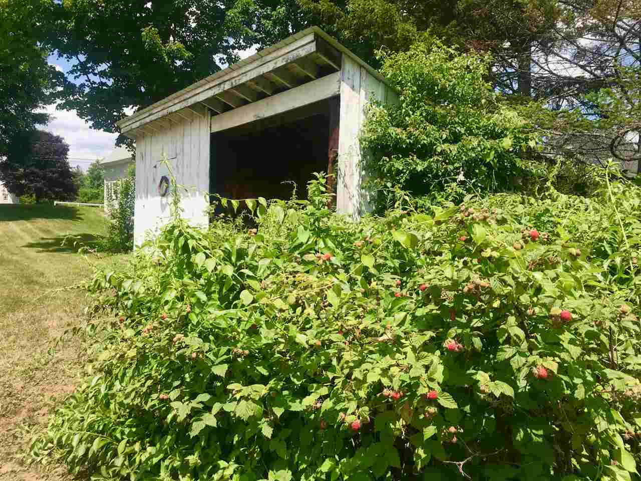 43 Buffalo Road Rumney, NH 03266 - Photo 5 of 40