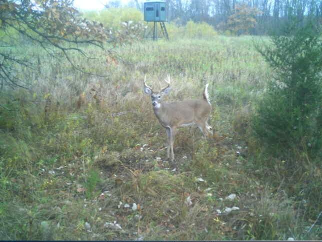 0 Wheeler Road Homer, MI 49245 - Photo 15 of 38 Gallery Image 15