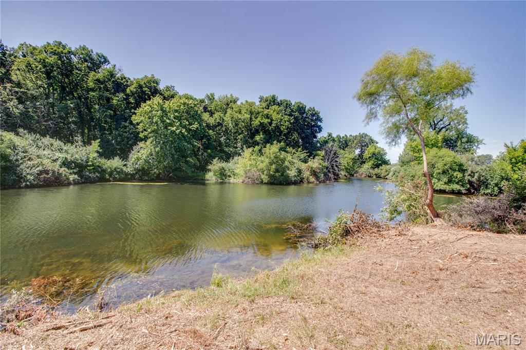 9368 Rhea Park Road Loami, IL 62661 - Photo 15 of 54