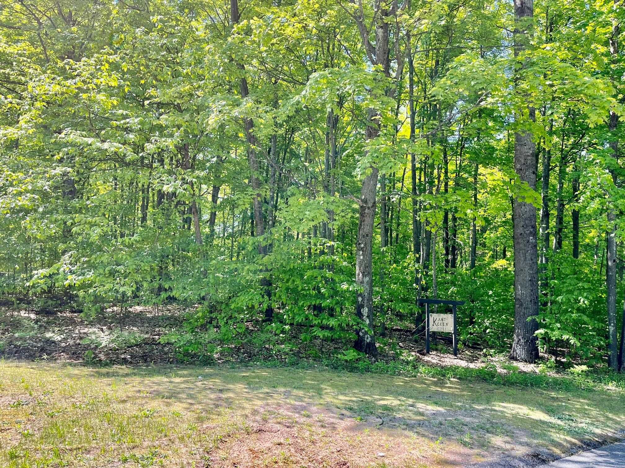 62 Valley Run Road Bellaire, MI 49615 - Photo 3 of 9