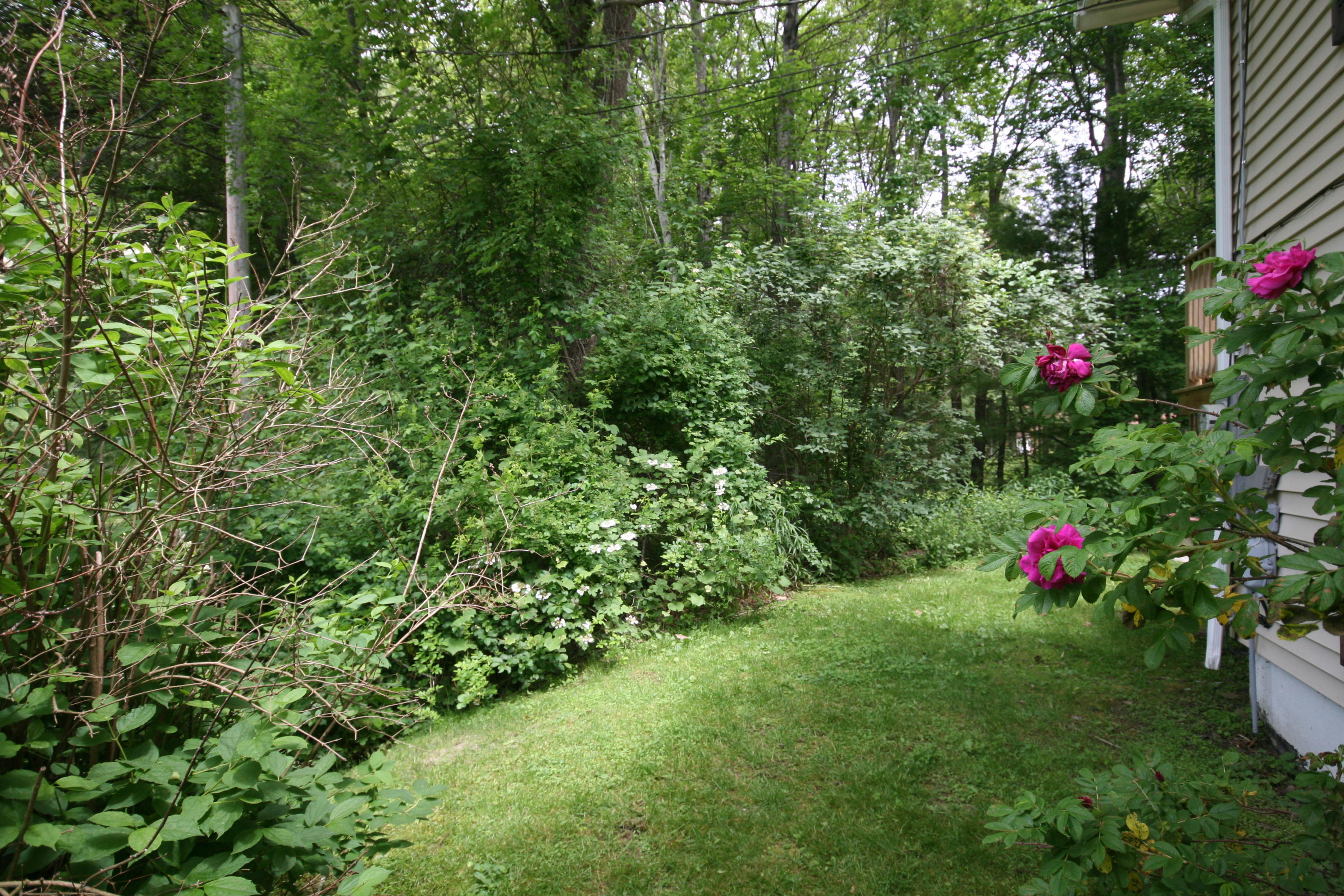 414 Ferry Road Saco, ME 04072 - Photo 3 of 39 IMG_1675 (1)