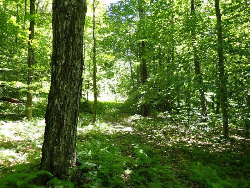 0 Green Mountain Road Waterbury, VT 05676 - Photo 13 of 16 Gallery Image 13