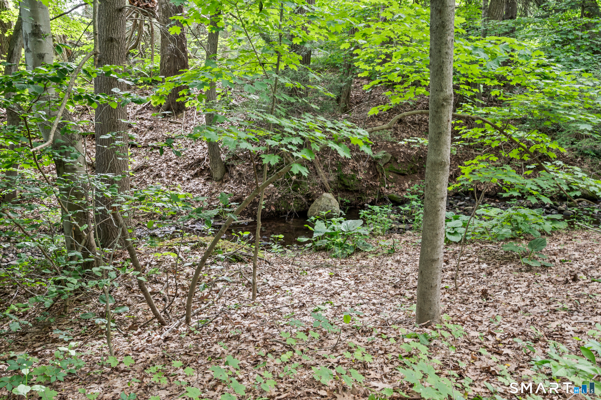 539 Hopewell Road Glastonbury, CT 06033 - Photo 33 of 38