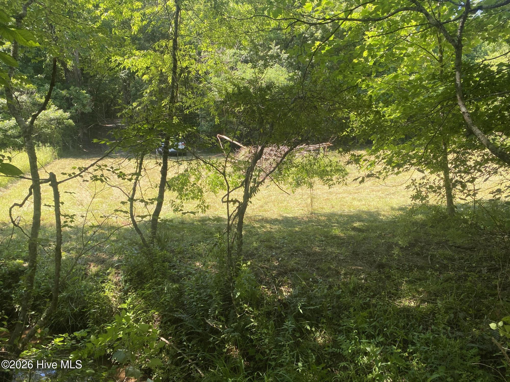 Lot 7 Running Bear Road Murphy, NC 28906 - Photo 9 of 14
