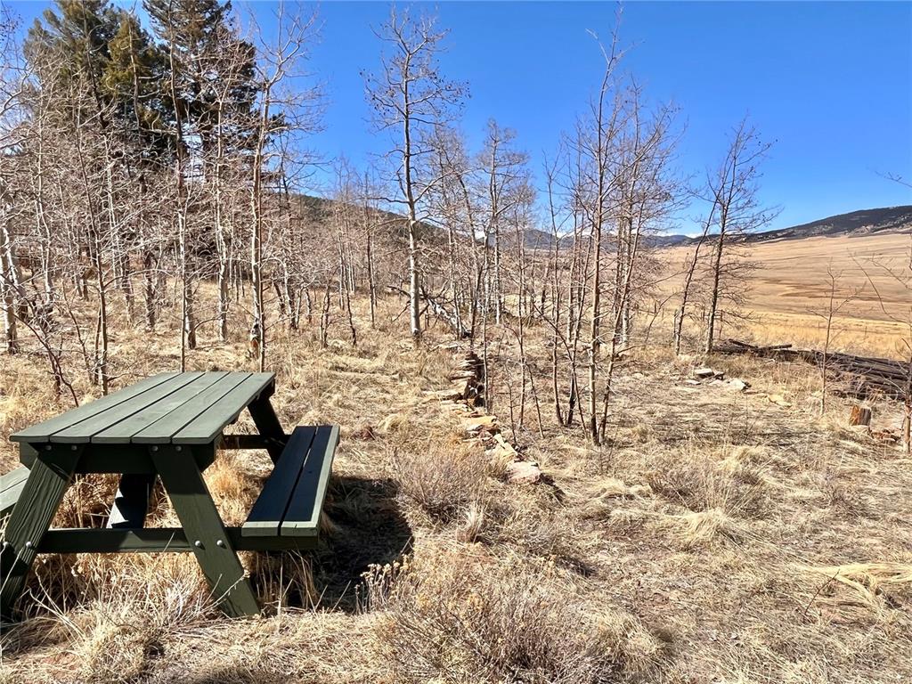 2952 Redhill Road Fairplay, CO 80440 - Photo 8 of 23 Gallery Image 8