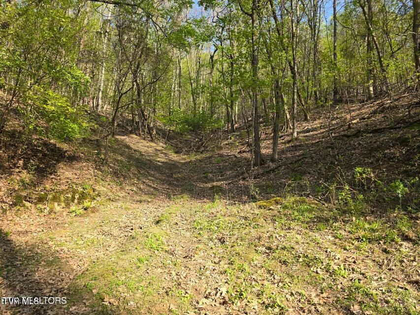 Tbd Boatmans Mountain Road Morristown, TN 37814 - Photo 11 of 57 12