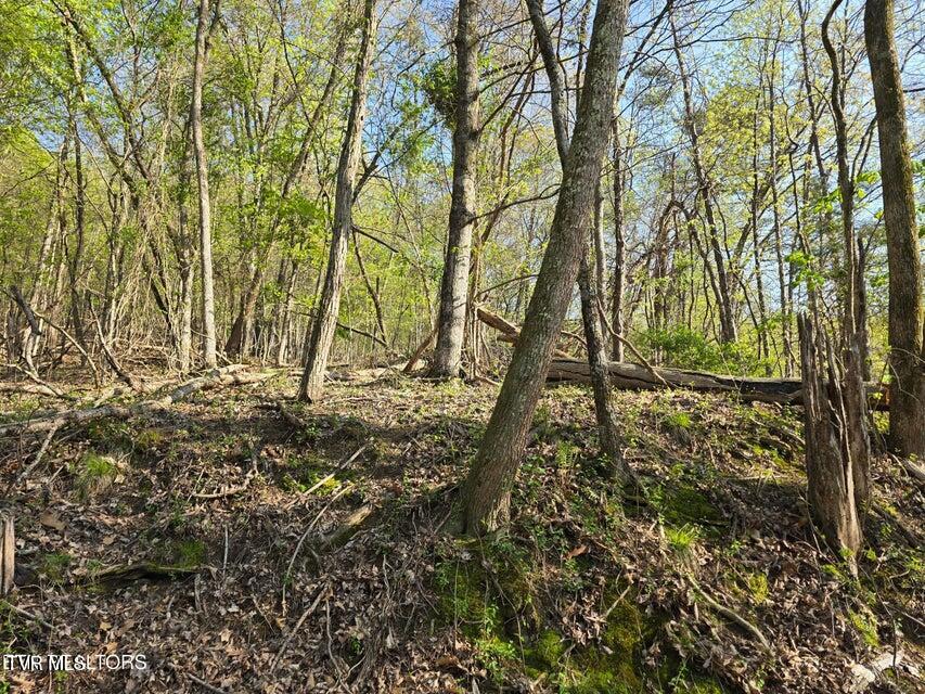 Tbd Boatmans Mountain Road Morristown, TN 37814 - Photo 12 of 57 13