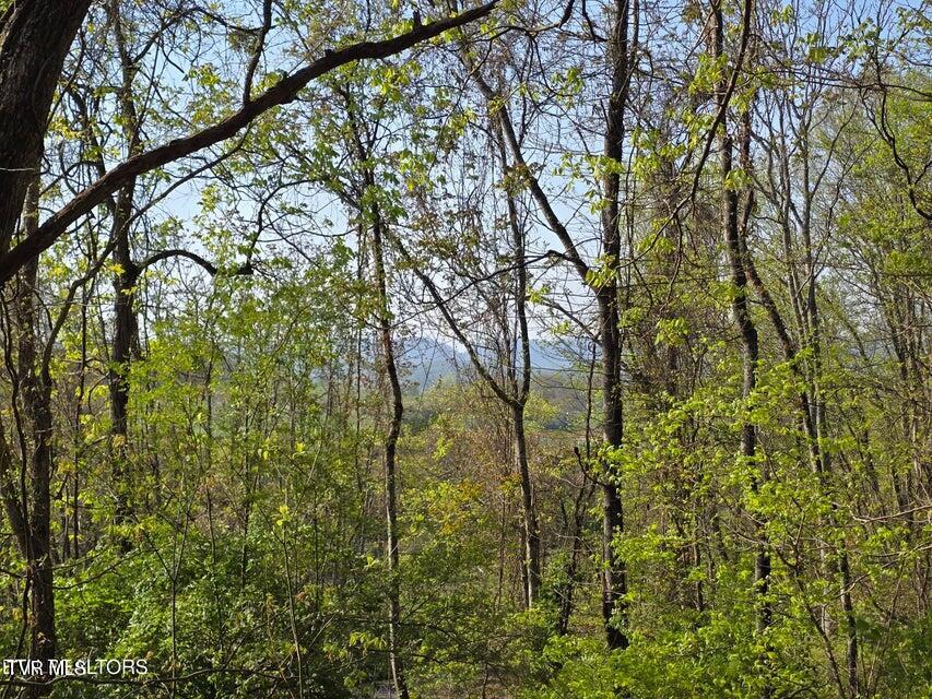 Tbd Boatmans Mountain Road Morristown, TN 37814 - Photo 16 of 57 17