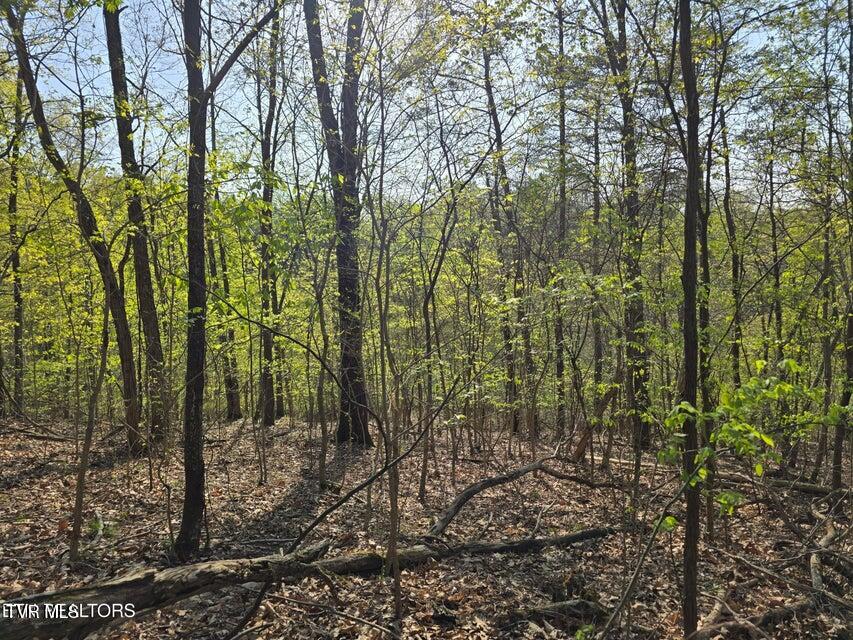 Tbd Boatmans Mountain Road Morristown, TN 37814 - Photo 18 of 57 19