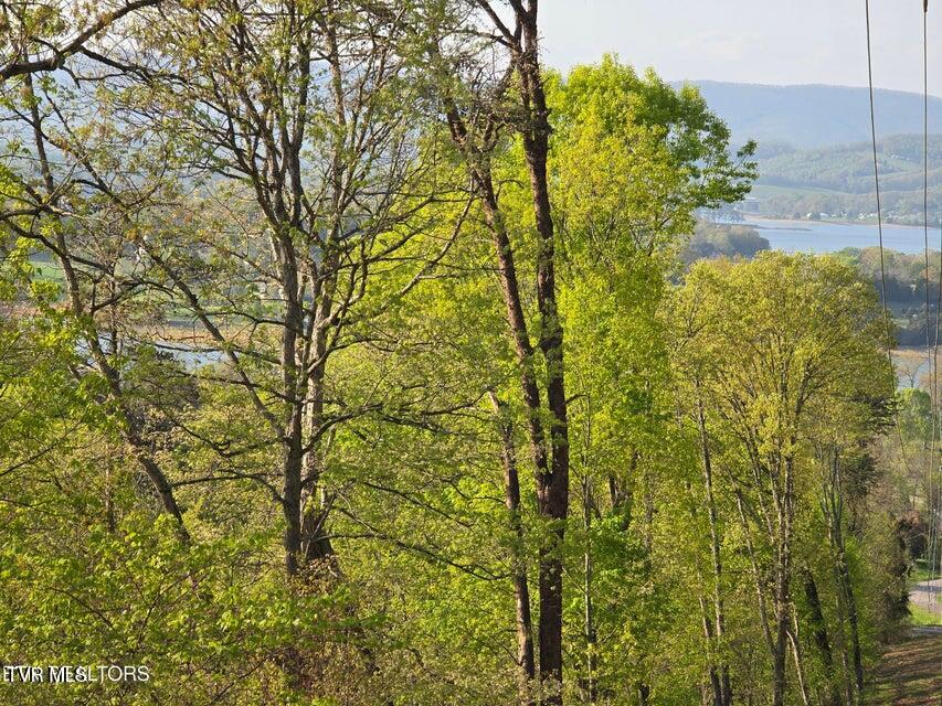 Tbd Boatmans Mountain Road Morristown, TN 37814 - Photo 2 of 57 2