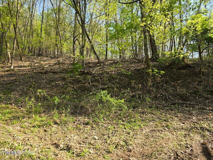 Tbd Boatmans Mountain Road Morristown, TN 37814 - Photo 21 of 57 22