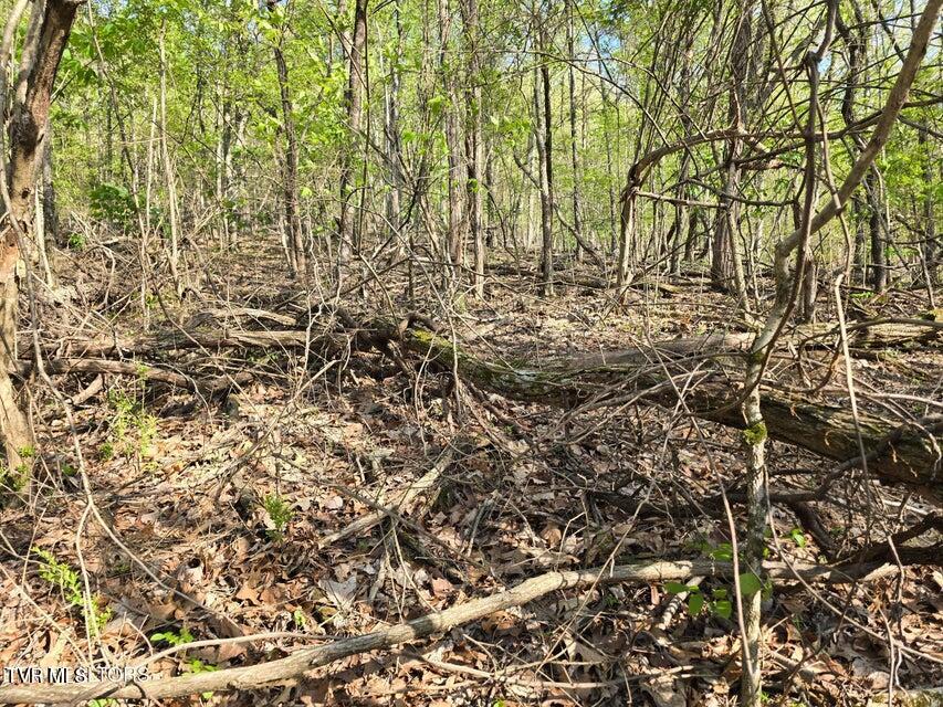 Tbd Boatmans Mountain Road Morristown, TN 37814 - Photo 24 of 57 25