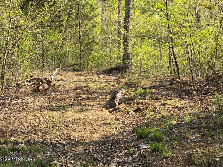 Tbd Boatmans Mountain Road Morristown, TN 37814 - Photo 26 of 57 27