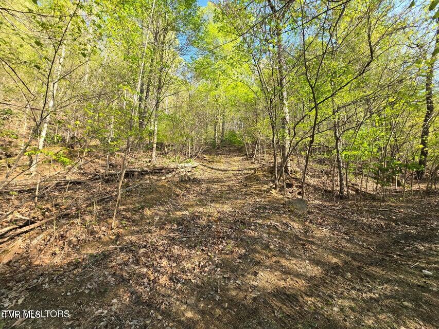 Tbd Boatmans Mountain Road Morristown, TN 37814 - Photo 27 of 57 28