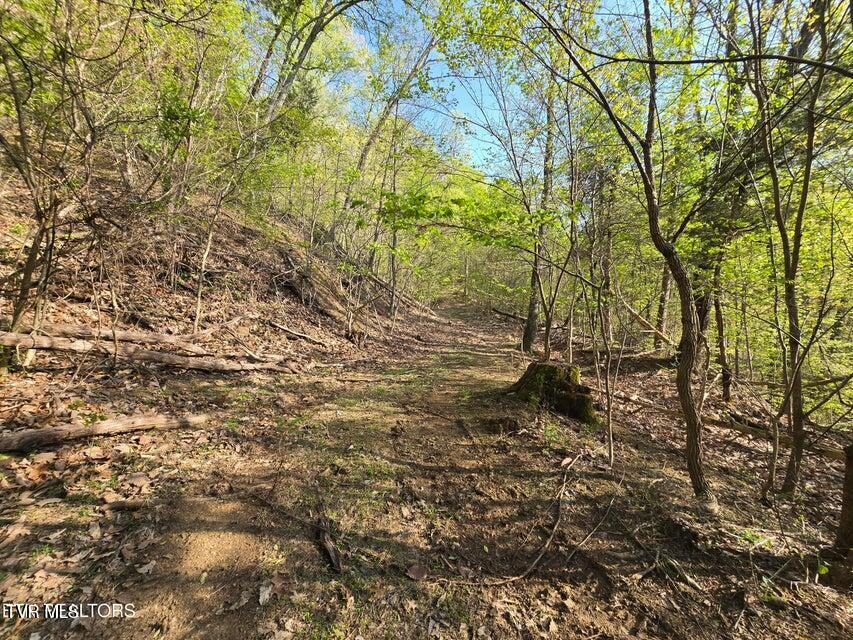 Tbd Boatmans Mountain Road Morristown, TN 37814 - Photo 28 of 57 29