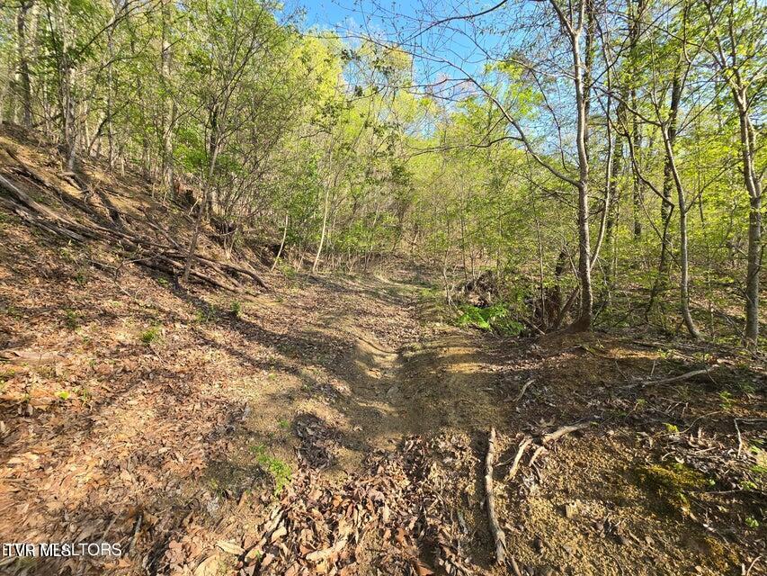 Tbd Boatmans Mountain Road Morristown, TN 37814 - Photo 29 of 57 30