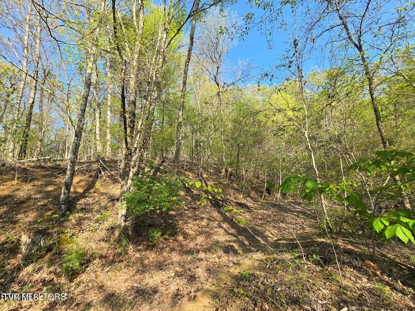 Tbd Boatmans Mountain Road Morristown, TN 37814 - Photo 30 of 57 31