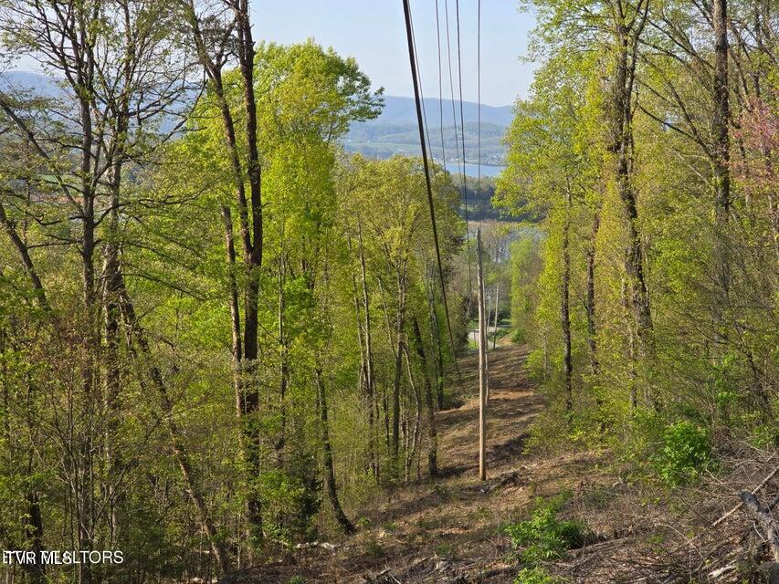 Tbd Boatmans Mountain Road Morristown, TN 37814 - Photo 3 of 57 3