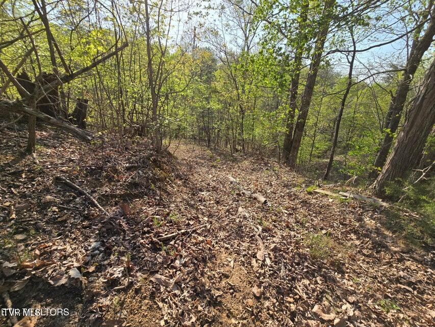 Tbd Boatmans Mountain Road Morristown, TN 37814 - Photo 31 of 57 32