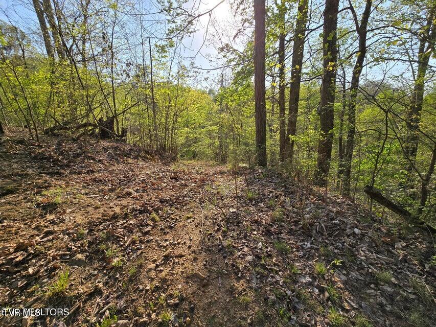 Tbd Boatmans Mountain Road Morristown, TN 37814 - Photo 32 of 57 33