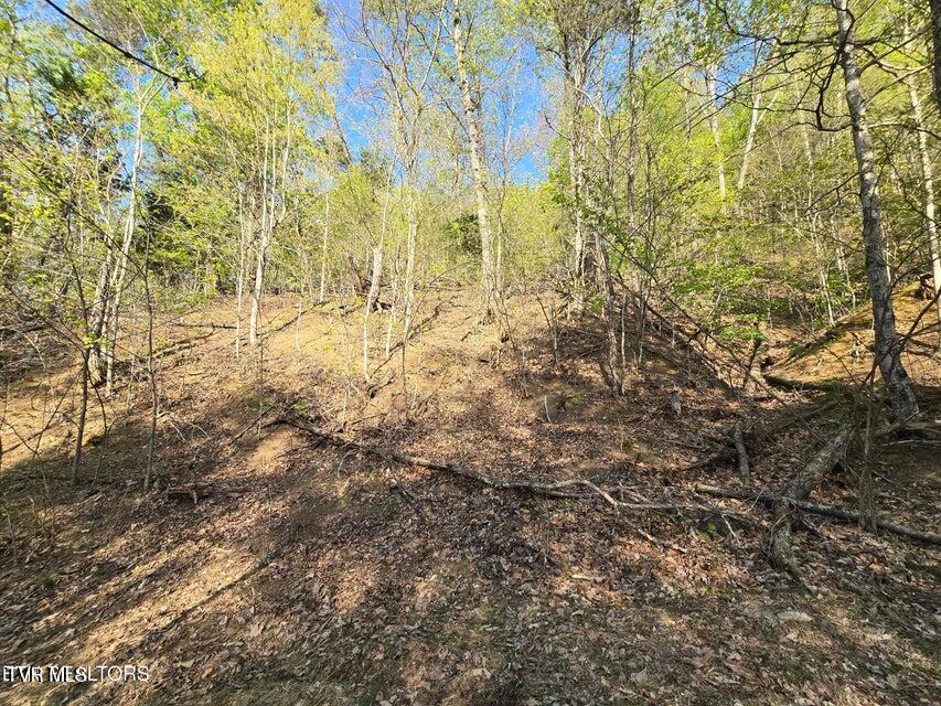 Tbd Boatmans Mountain Road Morristown, TN 37814 - Photo 33 of 57 34