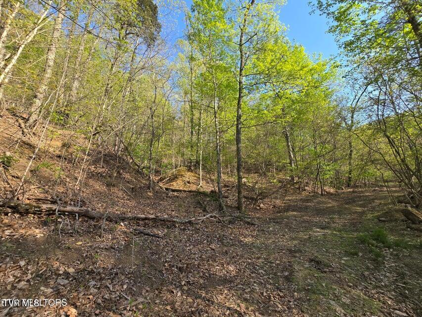 Tbd Boatmans Mountain Road Morristown, TN 37814 - Photo 34 of 57 35
