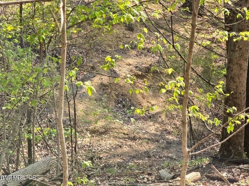 Tbd Boatmans Mountain Road Morristown, TN 37814 - Photo 35 of 57 36