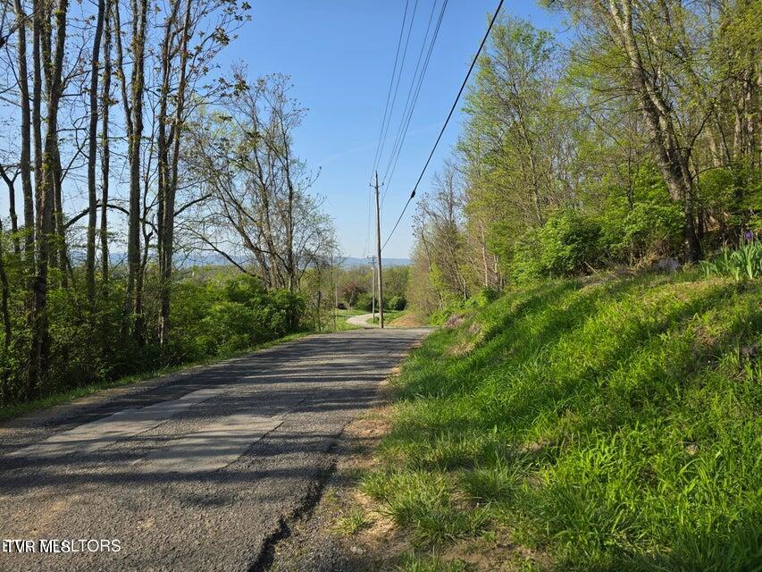 Tbd Boatmans Mountain Road Morristown, TN 37814 - Photo 37 of 57 38