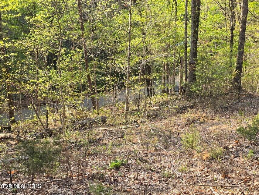 Tbd Boatmans Mountain Road Morristown, TN 37814 - Photo 38 of 57 39