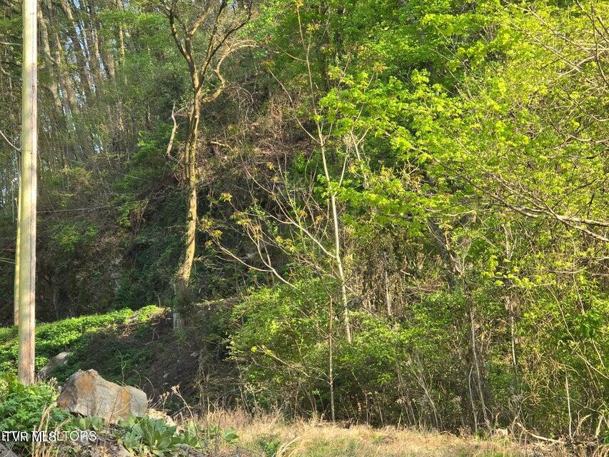 Tbd Boatmans Mountain Road Morristown, TN 37814 - Photo 39 of 57 40
