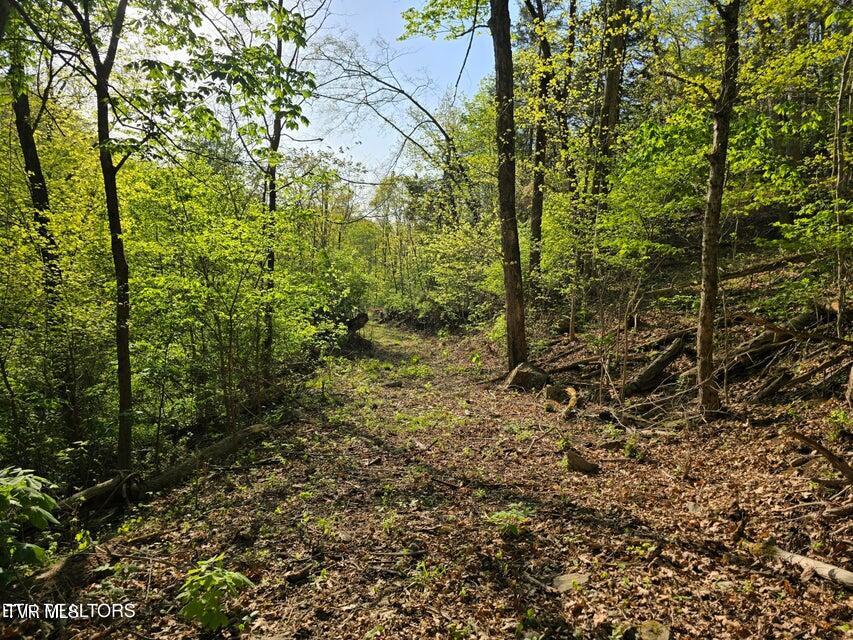 Tbd Boatmans Mountain Road Morristown, TN 37814 - Photo 40 of 57 41