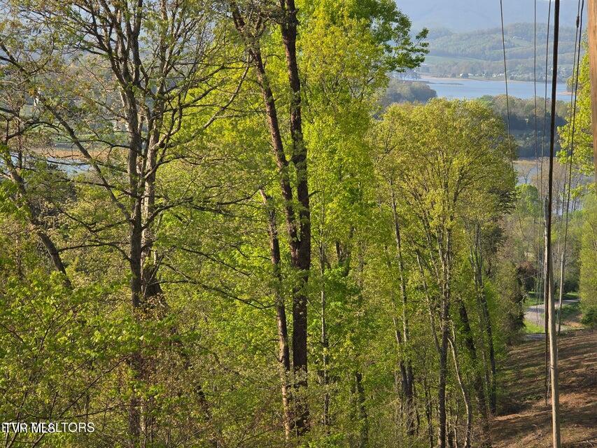 Tbd Boatmans Mountain Road Morristown, TN 37814 - Photo 4 of 57 4