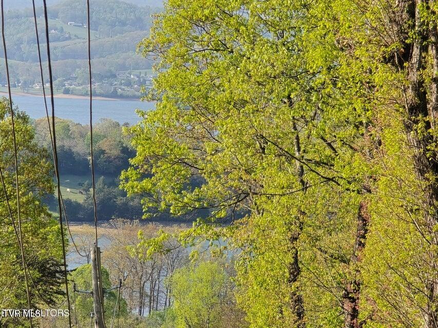 Tbd Boatmans Mountain Road Morristown, TN 37814 - Photo 41 of 57 42