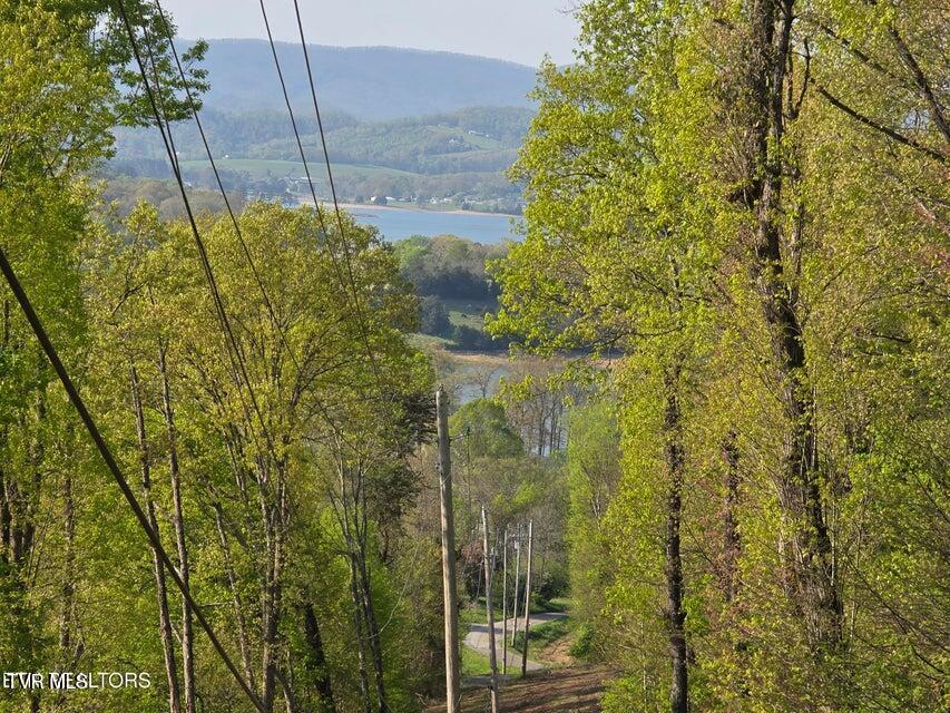Tbd Boatmans Mountain Road Morristown, TN 37814 - Photo 42 of 57 43