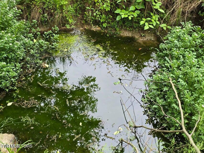 Tbd Boatmans Mountain Road Morristown, TN 37814 - Photo 44 of 57 47