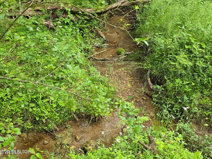 Tbd Boatmans Mountain Road Morristown, TN 37814 - Photo 45 of 57 48