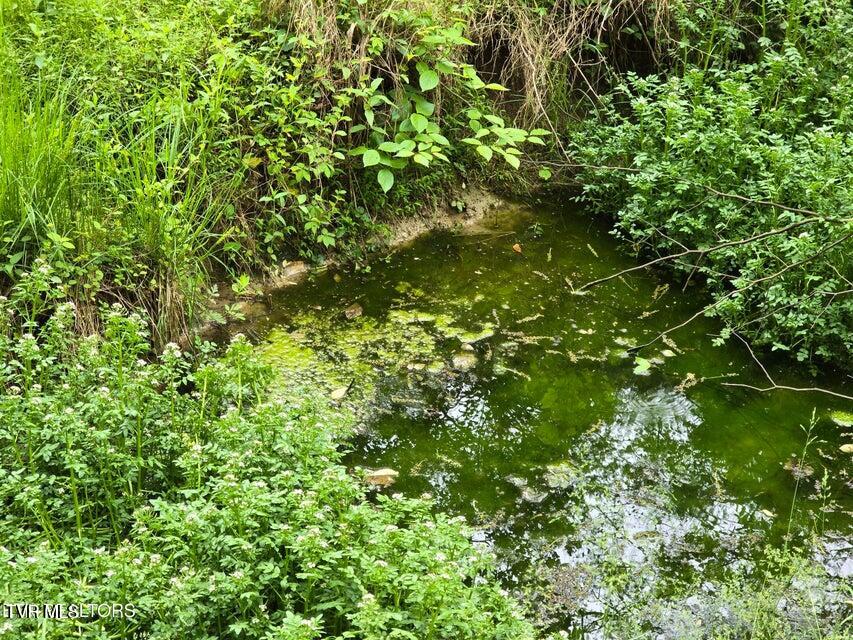 Tbd Boatmans Mountain Road Morristown, TN 37814 - Photo 46 of 57 49