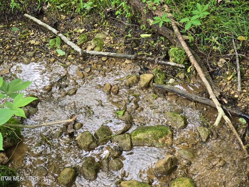 Tbd Boatmans Mountain Road Morristown, TN 37814 - Photo 47 of 57 50