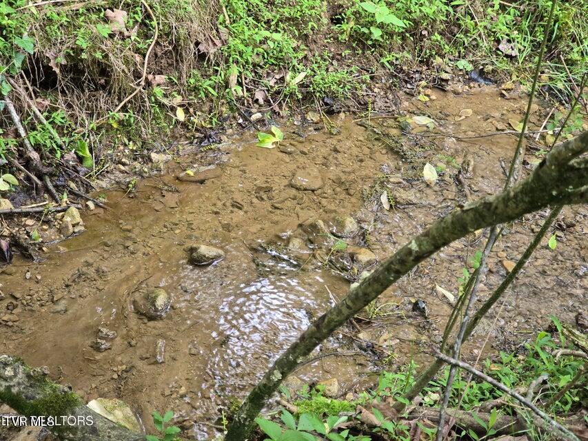 Tbd Boatmans Mountain Road Morristown, TN 37814 - Photo 48 of 57 51