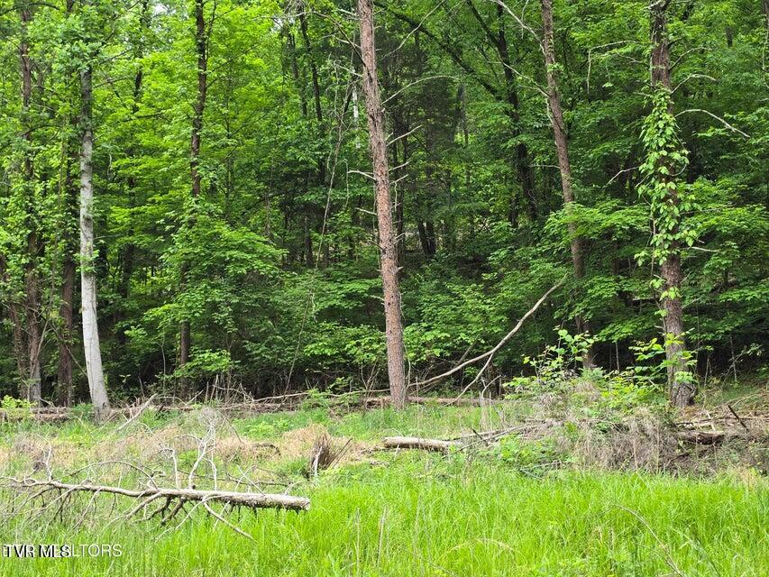 Tbd Boatmans Mountain Road Morristown, TN 37814 - Photo 49 of 57 52