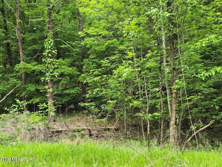 Tbd Boatmans Mountain Road Morristown, TN 37814 - Photo 50 of 57 53